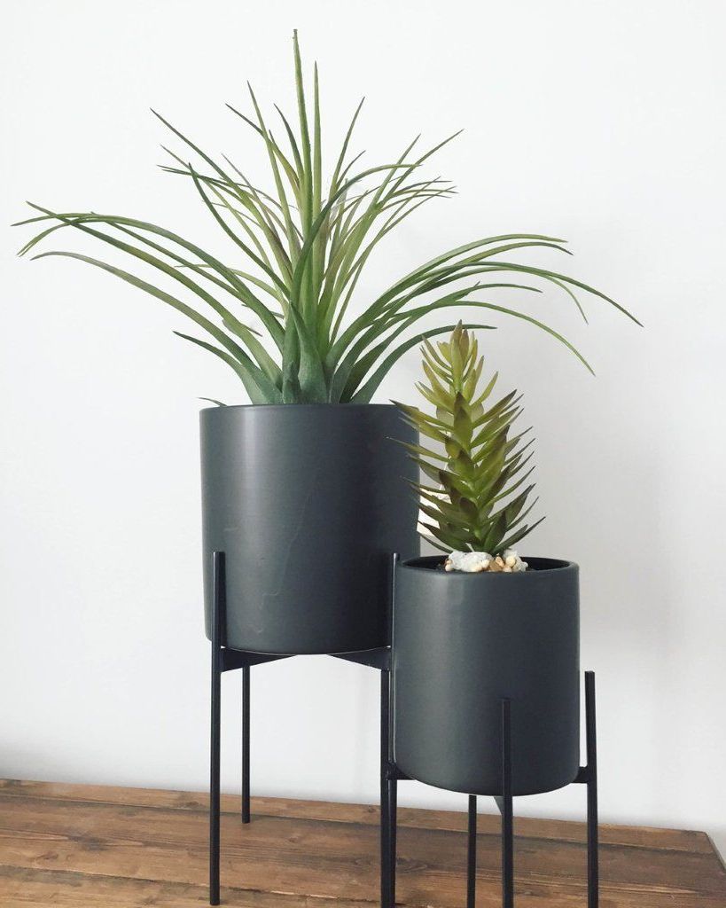 Plant Stand, Plant  Stand Indoor, Modern Plant Stand Inside Black Plant Stands (View 15 of 15)