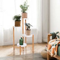 Plastic/acrylic Plant Stands & Tables You'll Love In  (View 15 of 15)