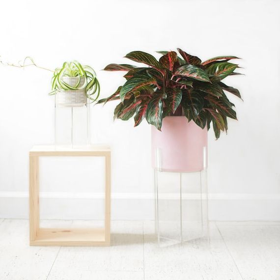 Plexiglass Clear Plant Stand Acrylic Floating Indoor Plant – Etsy Uk In Favorite Clear Plant Stands (View 1 of 15)