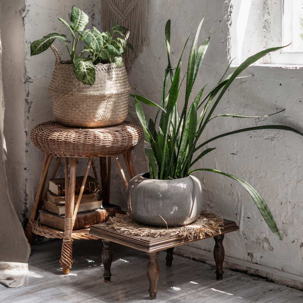 Popular 31 Exclusive Plant Stand Ideas To Introduce Into Your Interior Within Rustic Plant Stands (View 3 of 15)