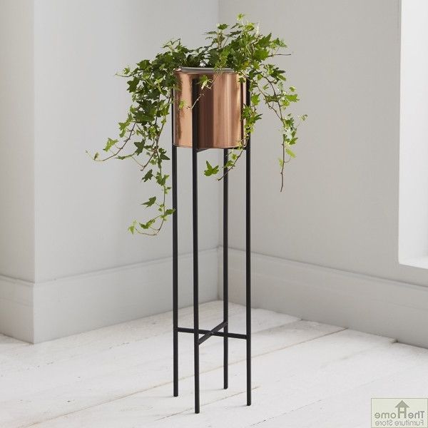 Popular Bronze Small Plant Stands Throughout Bronze Small Plant Holder Stand (View 15 of 15)