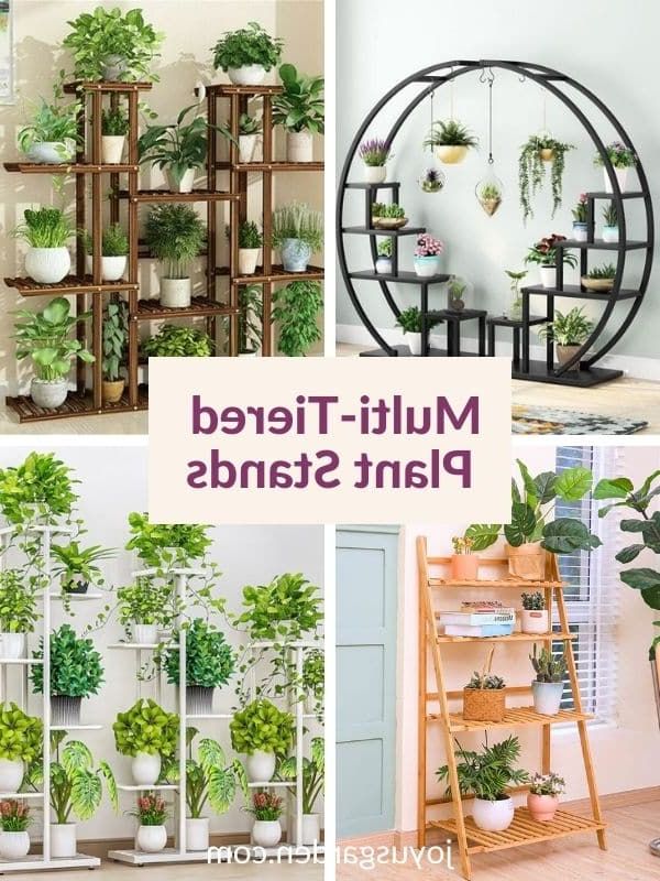 Popular Indoor Plant Stands In Multi Tier Plant Stands To Buy Online (View 13 of 15)