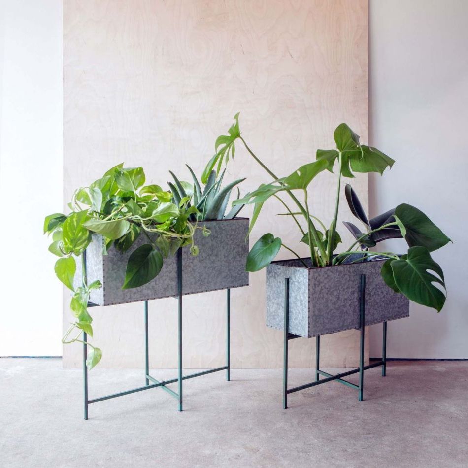 Preferred Green Plant Stands Throughout Set Of Two Rectangular Zinc Plant Stands (View 8 of 15)