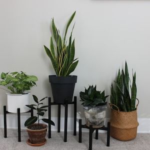 Preferred Powdercoat Plant Stands Regarding Modern Metal Plant Stand Black Indoor/outdoor Plant Stand – Etsy (View 11 of 15)
