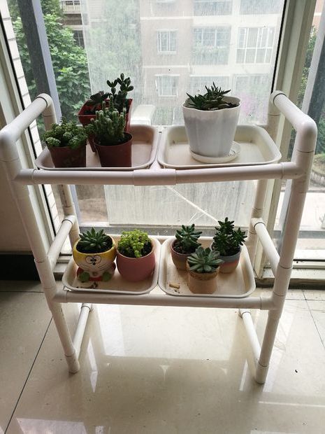 Pvc Plant Stands With Favorite Pin On Plants And Flowers (View 5 of 15)