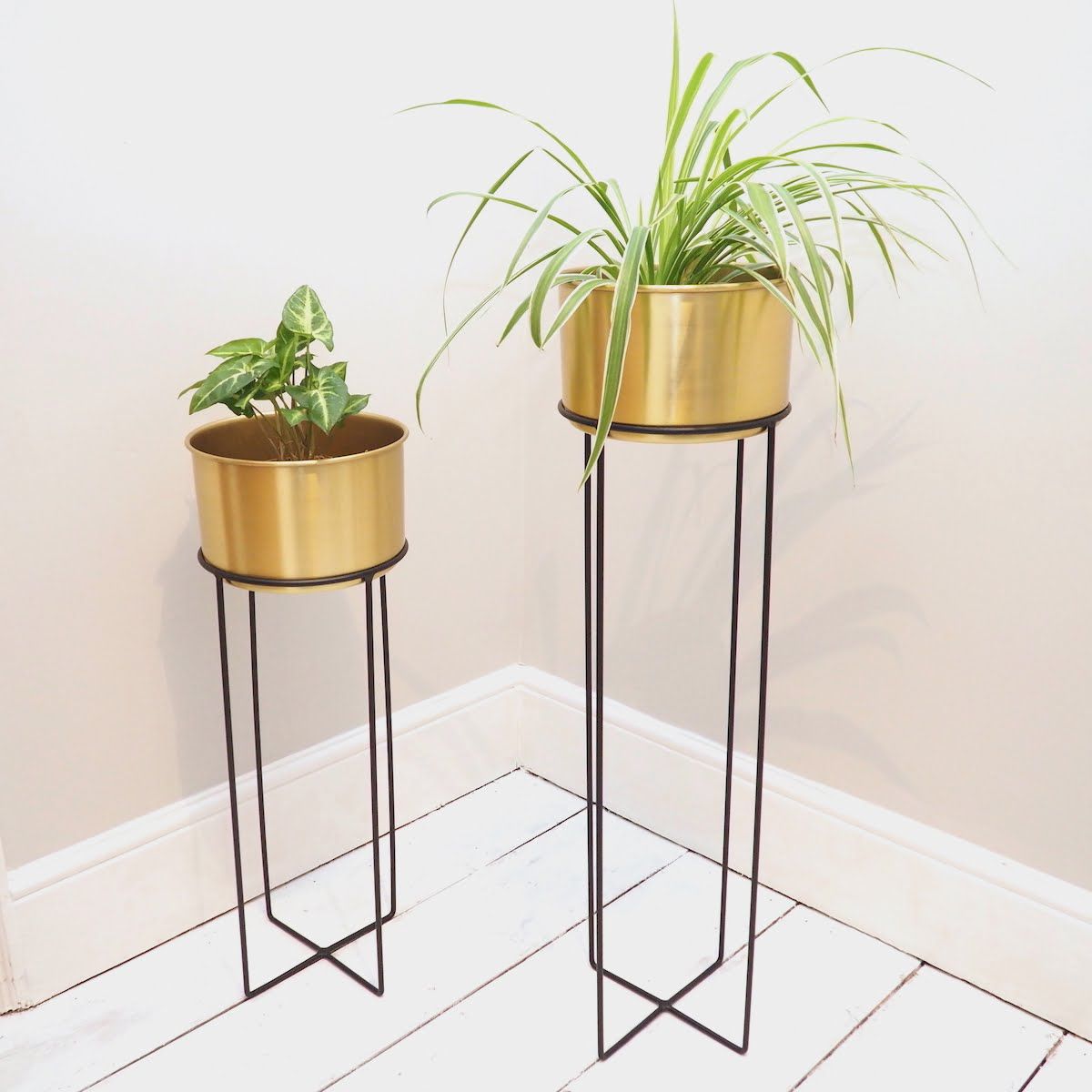 Recent Gold Plant Stands For Indoor Gold Plant Stand – Two Sizes – Zaza Homes (View 8 of 15)