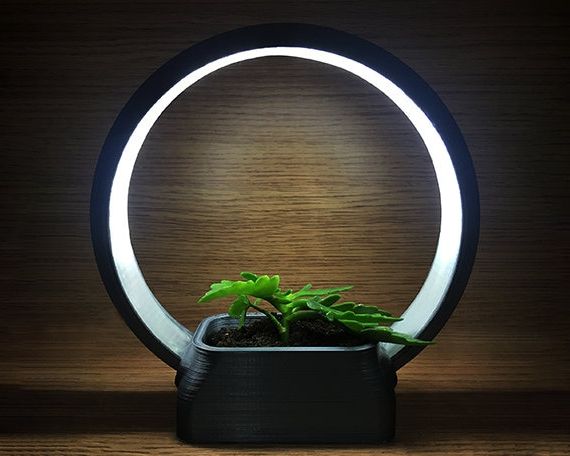 Ring Light Stand Indoor Plant Stand 3d Printed Ring Desk – Etsy With Trendy Ring Plant Stands (View 6 of 15)