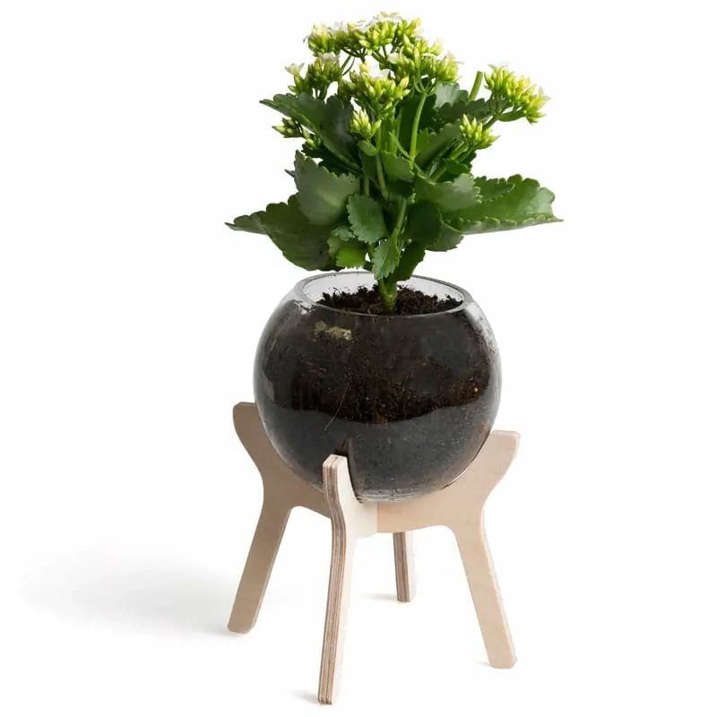 South African Poitjie Pot Plant Stand • That Little Shop Throughout Well Liked Plant Stands With Flower Bowl (View 8 of 15)