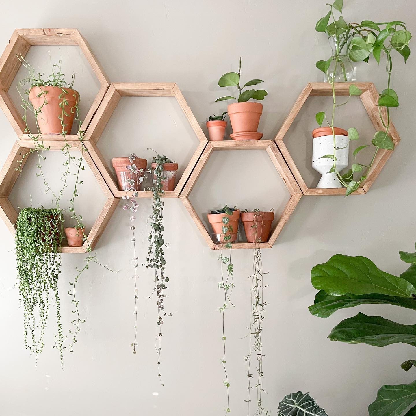 The Family Handyman With Regard To Hexagon Plant Stands (View 13 of 15)