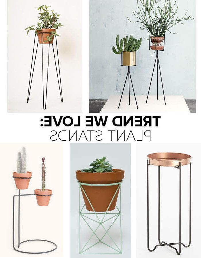 Trend We Love: Plant Stands – Trends We Love – Lonny Throughout Well Known Ring Plant Stands (View 2 of 15)