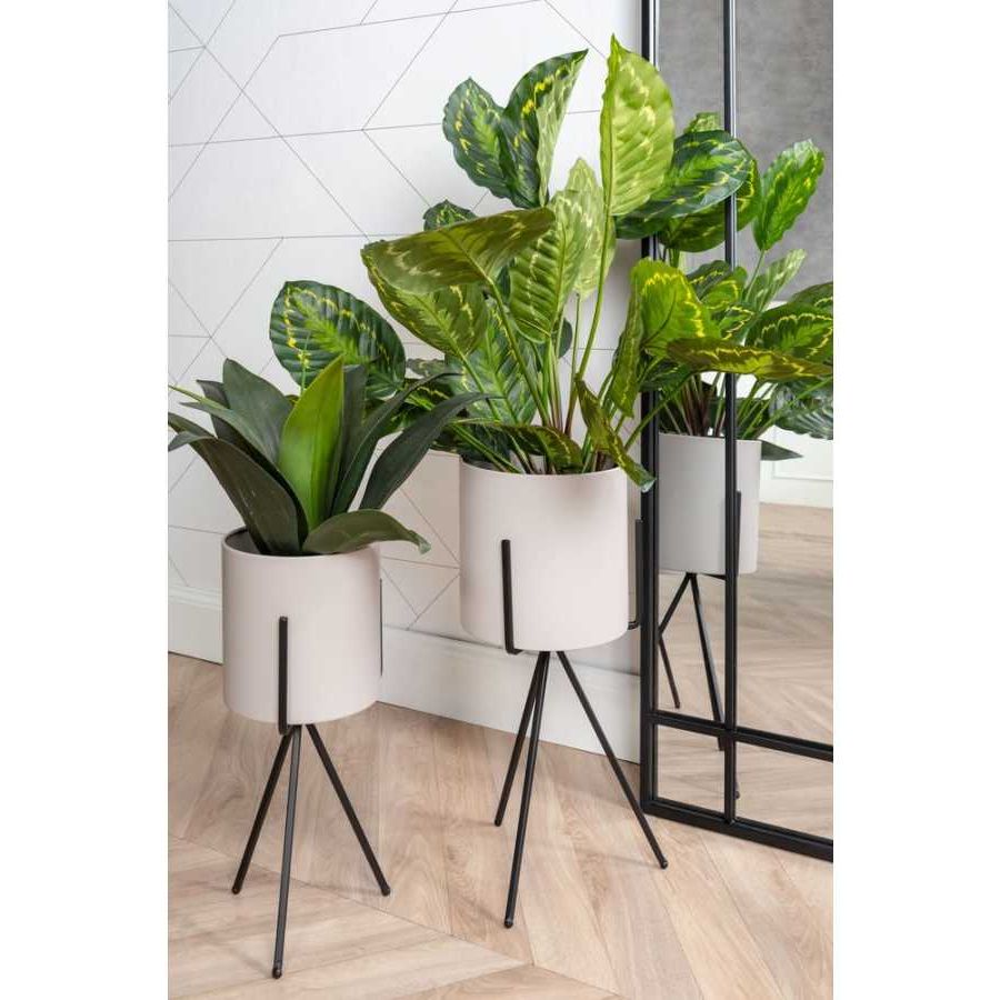 Trendy Set Of 3 Plant Stands Regarding Present Time Pedestal Plant Stands – Set Of 2 – Warm Grey (View 10 of 15)