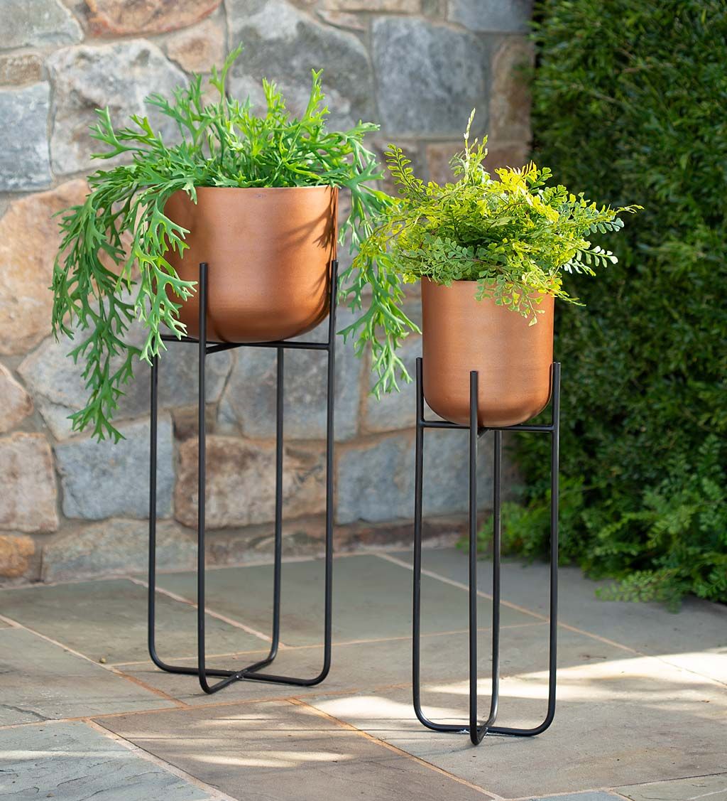 Vivaterra Pertaining To Copper Plant Stands (View 8 of 15)