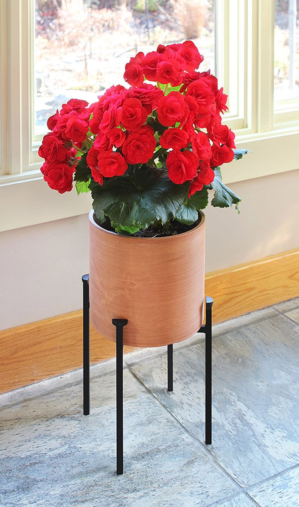 Wayfair Inside 2020 Red Plant Stands (View 14 of 15)