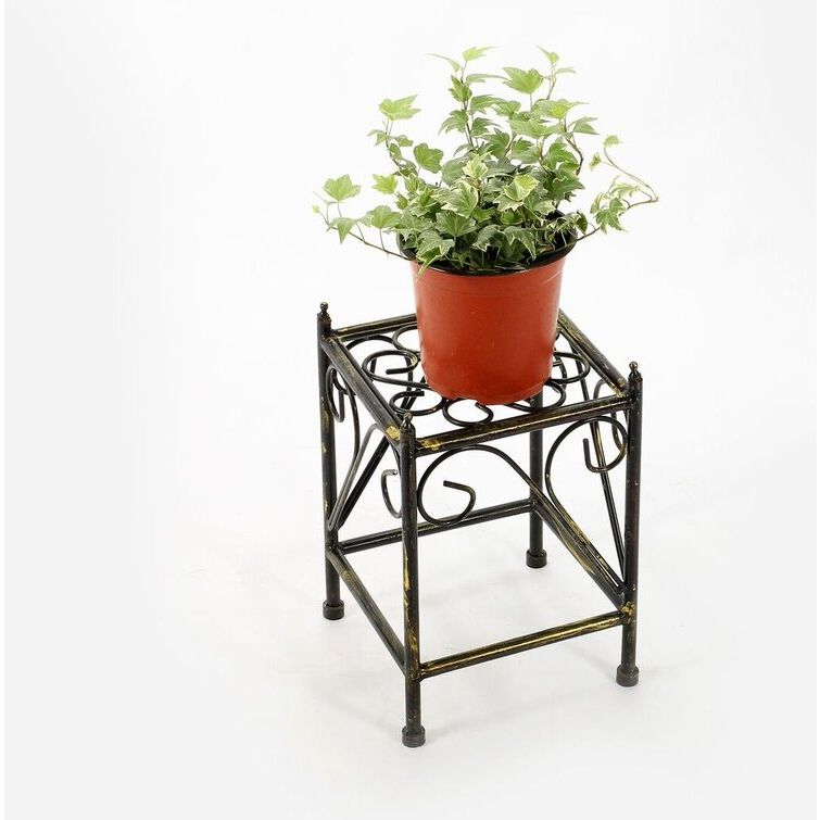Wayfair With Regard To Fashionable Iron Square Plant Stands (View 7 of 15)