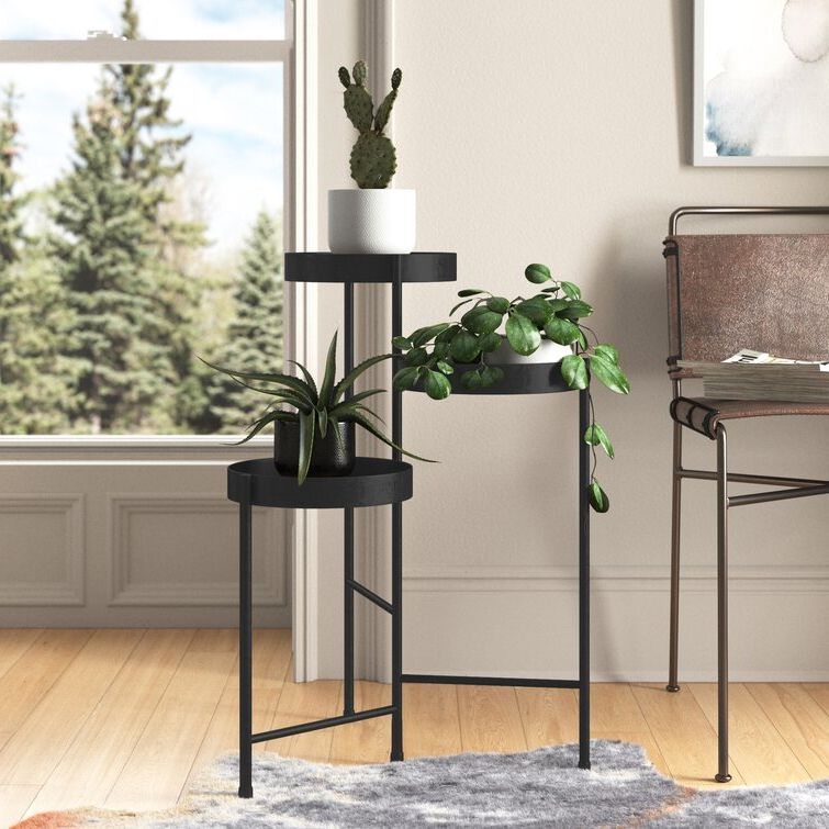 Wayfair With Regard To Favorite Black Plant Stands (View 10 of 15)