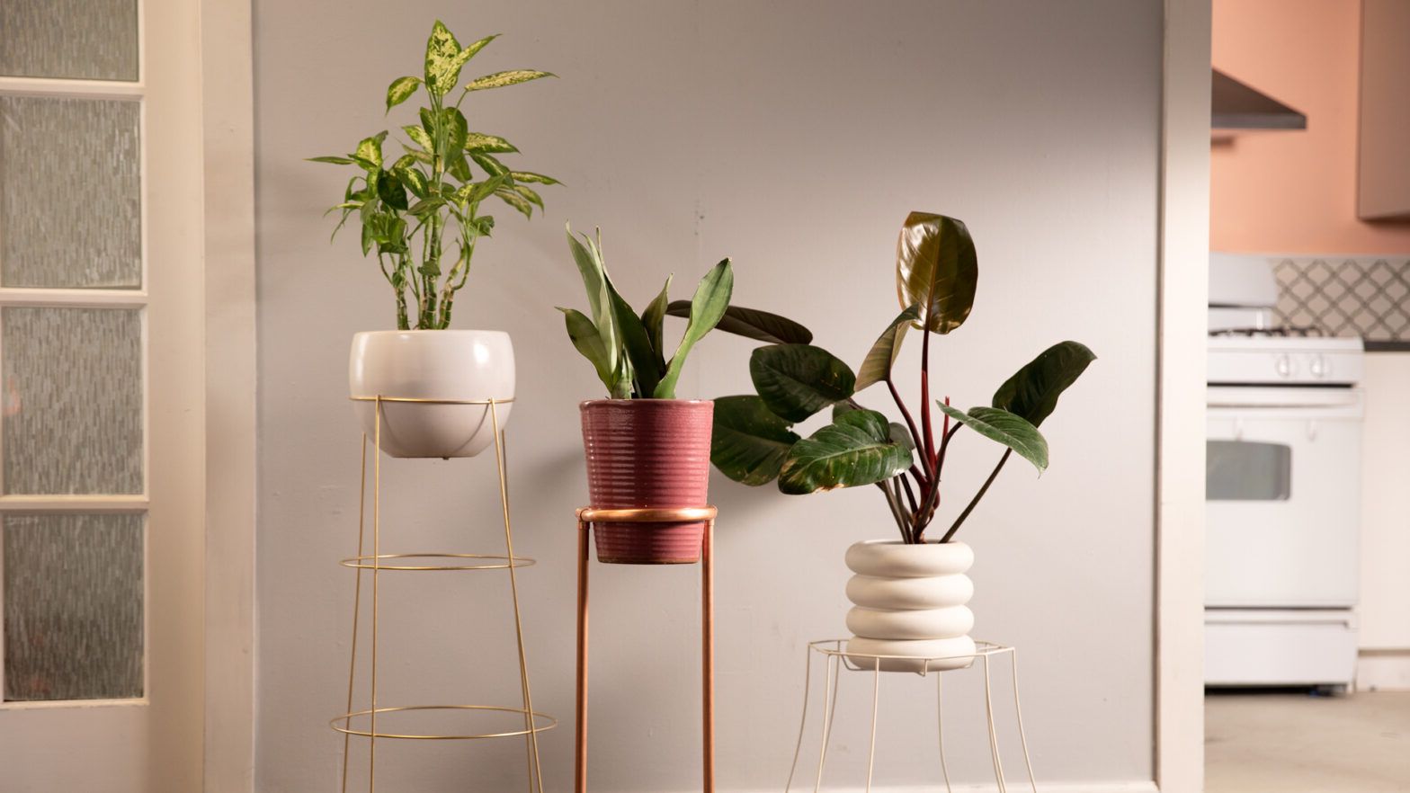 Well Known Diy Modern Plant Stands 3 Ways In 15 Minutes Or Less (View 8 of 15)