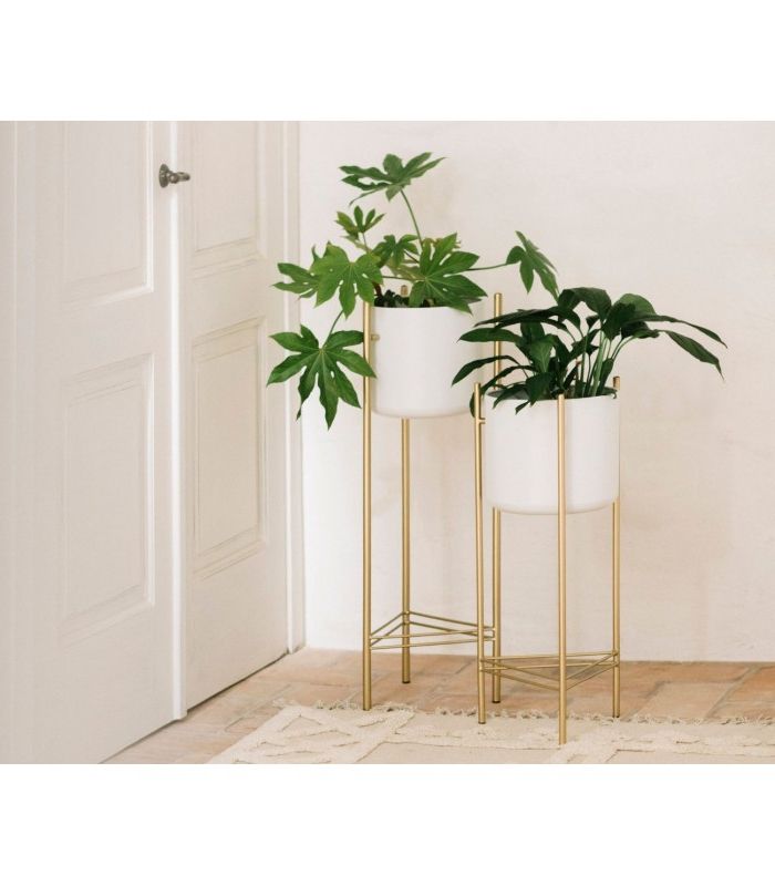 Well Known Gold Plant Stands With Plant Stand White And Gold Metal – Height 80cm (View 4 of 15)