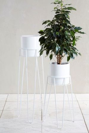 White Plant Stands With Well Known Next Set Of 2 White Plant Stands – White (View 2 of 15)