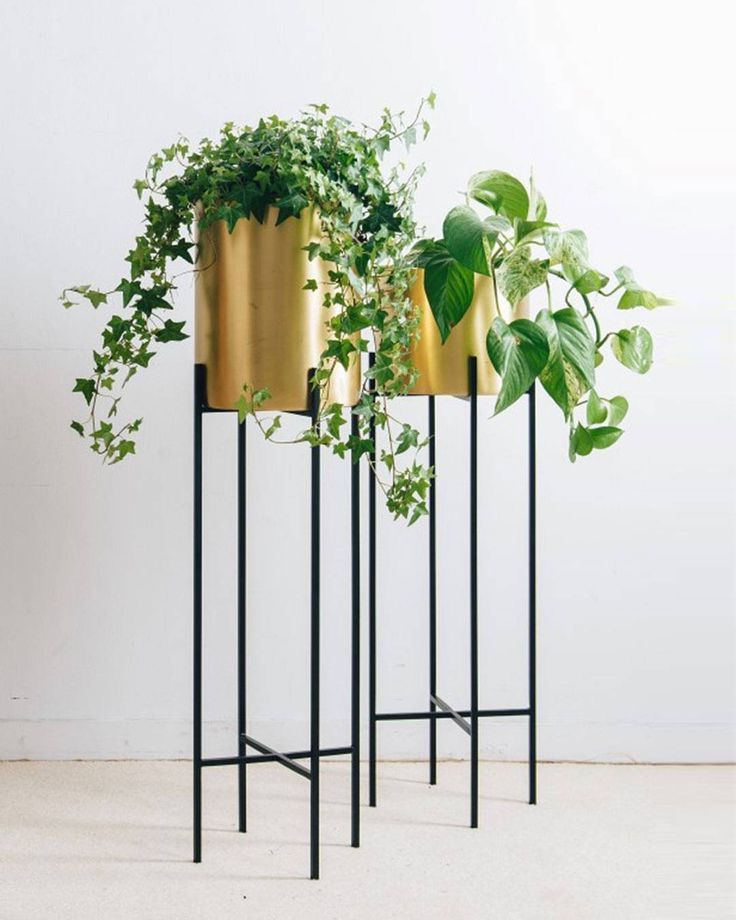 Widely Used Bring Nature Into The Home With Our Deni Plant Stand And Brass Pot (View 8 of 15)