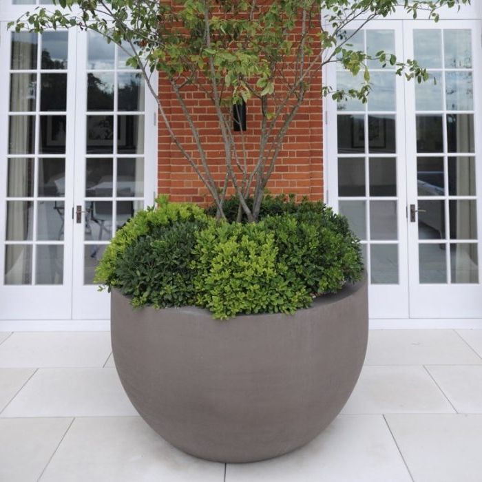 Widely Used Globe Plant Stands Inside Globe – Urbis Design – Contemporary Concrete Planters And Furniture (View 11 of 15)