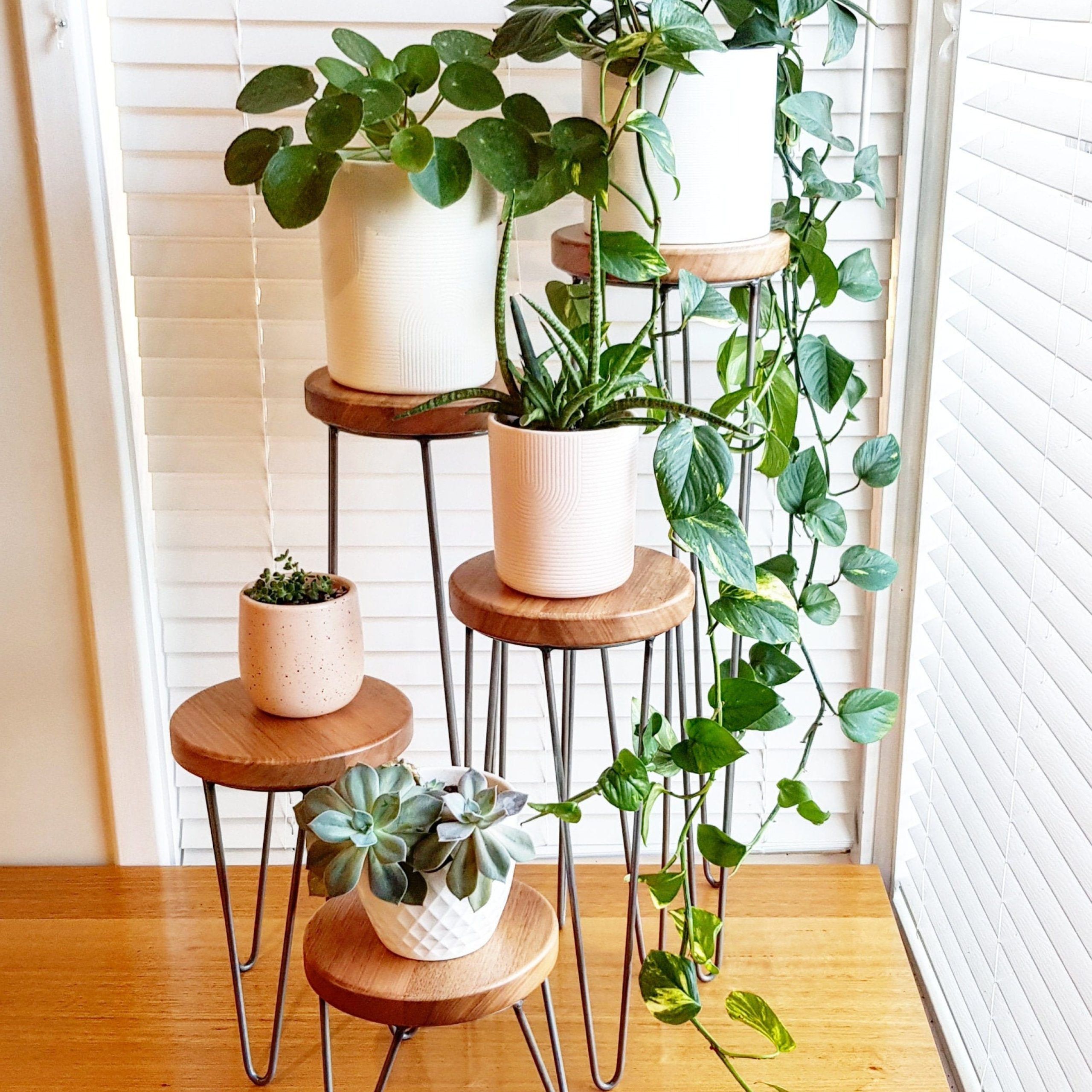 Widely Used Plant Stands With Table With Regard To Harper Hairpin Leg Plant Stand Metal Plant Stand Plant – Etsy Canada (View 9 of 15)