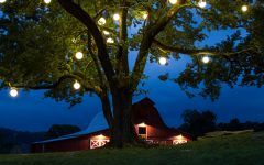 20 Ideas of Hanging Lights on an Outdoor Tree