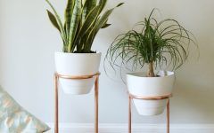 The 15 Best Collection of Copper Plant Stands