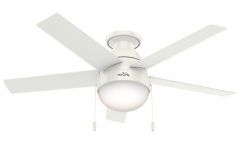 Top 20 of Anslee 5 Blade Ceiling Fans