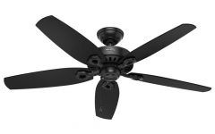 20 The Best Black Outdoor Ceiling Fans