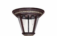 Outdoor Ceiling Light Fixture with Outlet