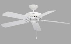 20 Ideas of Hunter Outdoor Ceiling Fans with White Lights