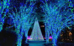 2024 Popular Botanical Garden Lights