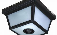 Outdoor Motion Detector Ceiling Lights