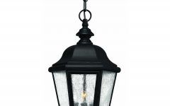 2024 Latest Outdoor Hanging Light in Black