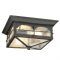 Outdoor Ceiling Lights at Home Depot