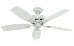 20 Ideas of White Outdoor Ceiling Fans