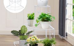 15 Photos 34 Inch Plant Stands