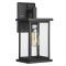 Brook Black 9.5'' H Seeded Glass Outdoor Wall Lanterns with Dusk to Dawn
