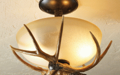 20 Collection of Outdoor Themed Ceiling Lights