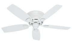 Top 20 of Flush Mount Outdoor Ceiling Fans
