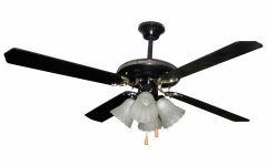 20 Collection of Outdoor Ceiling Fans at Menards