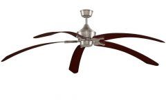 20 Best Collection of Outdoor Ceiling Fans for Windy Areas