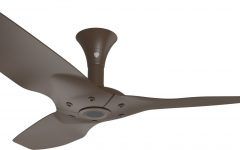 20 Inspirations Outdoor Ceiling Fans with Covers