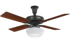 20 Inspirations Outdoor Ceiling Fans with Schoolhouse Light