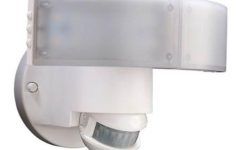 20 Photos Outdoor Ceiling Mounted Security Lights