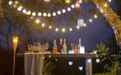 Outdoor Hanging Party Lanterns
