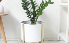 White Plant Stands