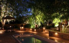 Modern Garden Landscape Lighting