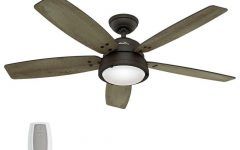 Top 20 of Hunter Outdoor Ceiling Fans with Lights