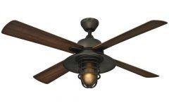 Top 20 of Outdoor Rated Ceiling Fans with Lights